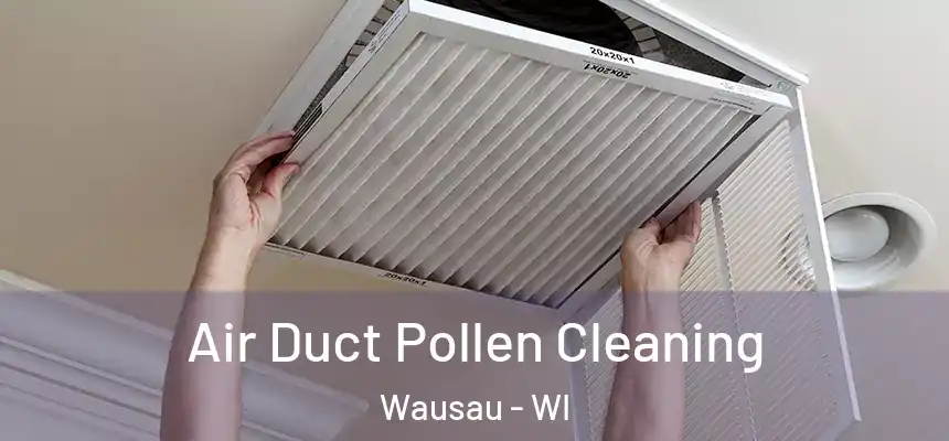  Air Duct Pollen Cleaning Wausau - WI