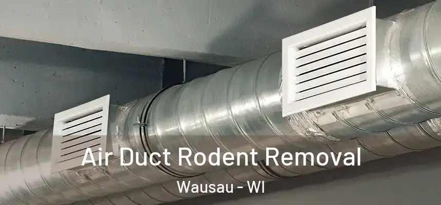  Air Duct Rodent Removal Wausau - WI
