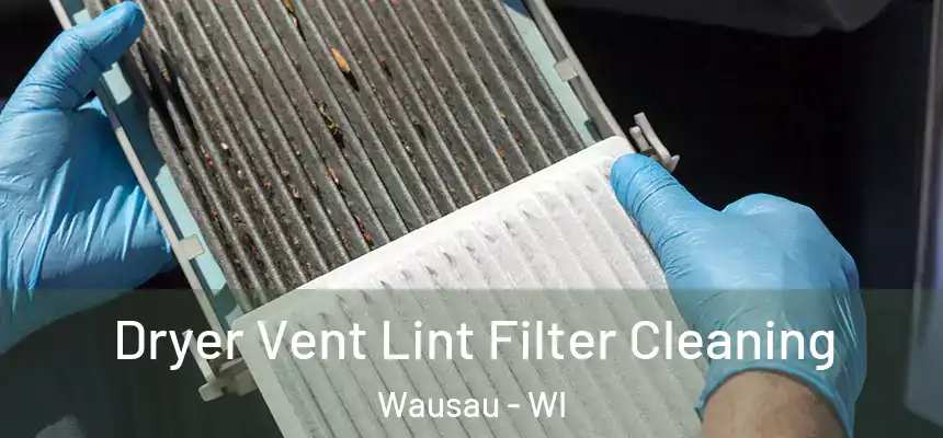 Dryer Vent Lint Filter Cleaning Wausau - WI