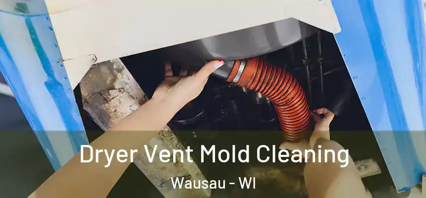 Dryer Vent Mold Cleaning Wausau - WI
