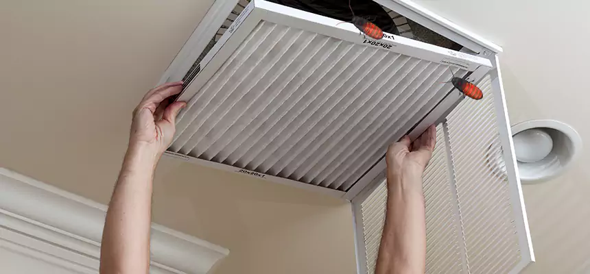 Preventive Cockroach-Proofing for Ducts in Wausau