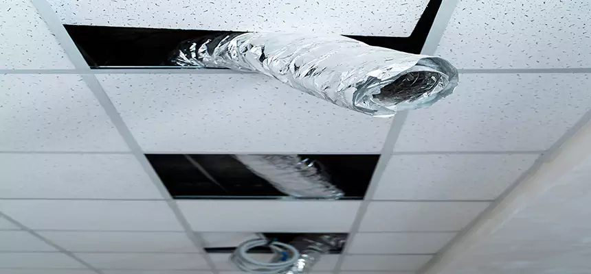 Affordable HVAC Sanitizing After Pest Removal in Wausau