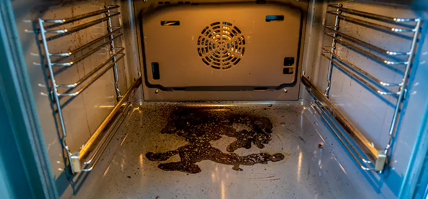 Our Dryer Vent Mold Cleaning Services in Wausau, WI