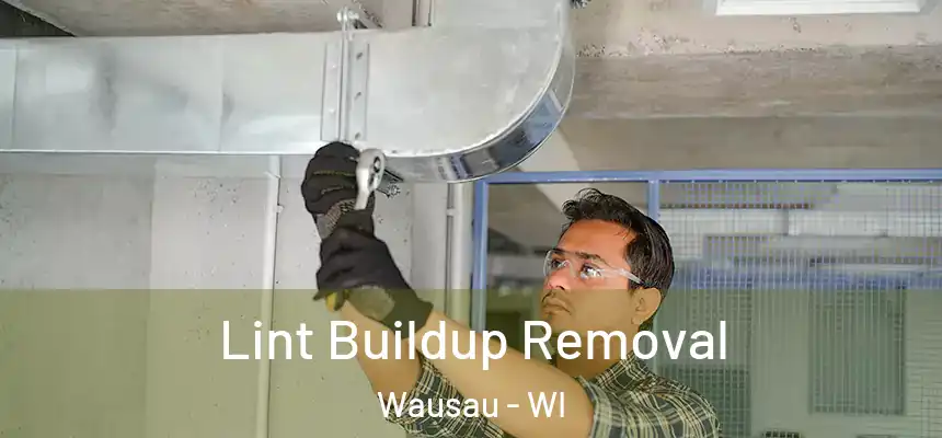 Lint Buildup Removal Wausau - WI