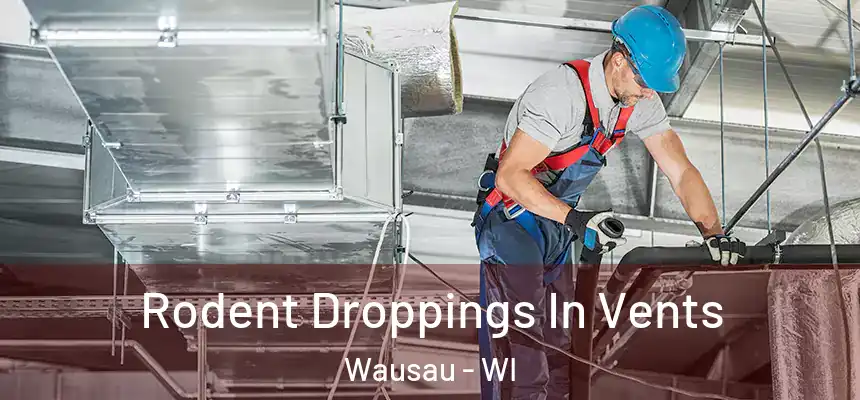  Rodent Droppings In Vents Wausau - WI