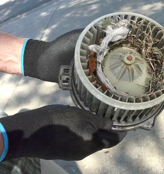 About Air Duct Mice Removal in Wausau, WI