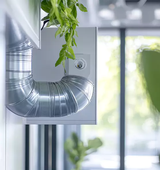 Professional Eco-Safe Dryer Vent Cleaning in Wausau, WI