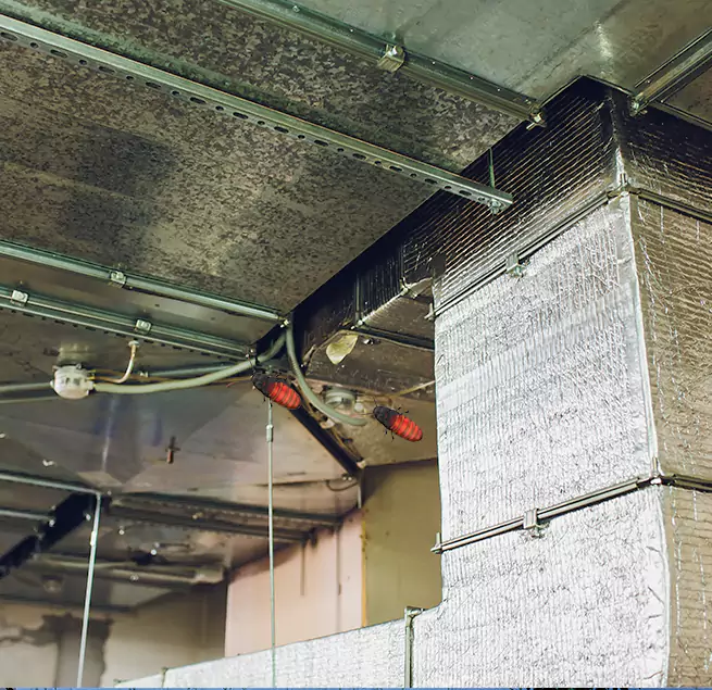 Why Homeowners & Businesses Trust Us in Wausau, WI?