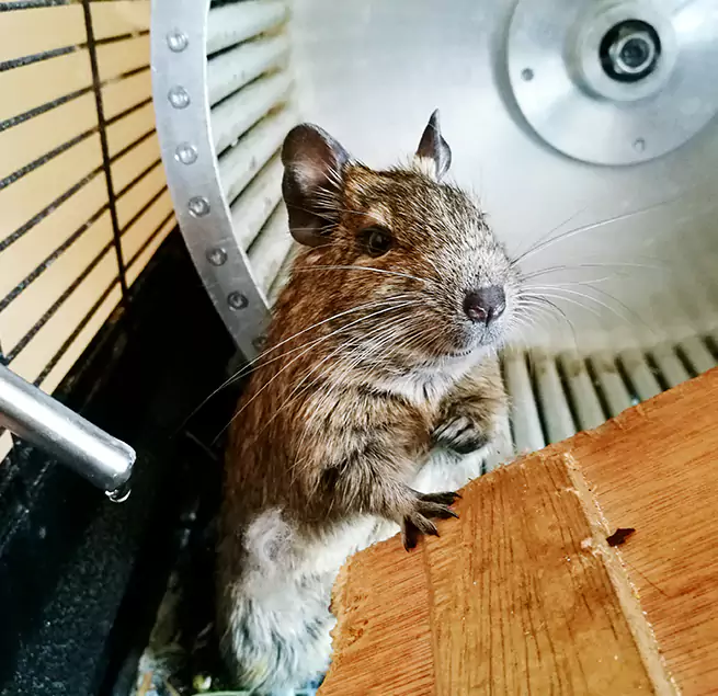 Why Homeowners & Businesses Trust Us Wausau, WI