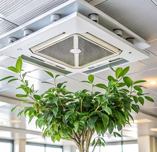 Why Homeowners & Businesses Trust Us in Wausau, WI?