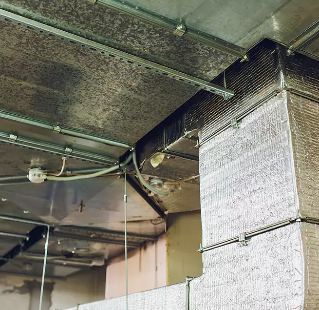 Why Homeowners & Businesses Trust Us in Wausau, WI?